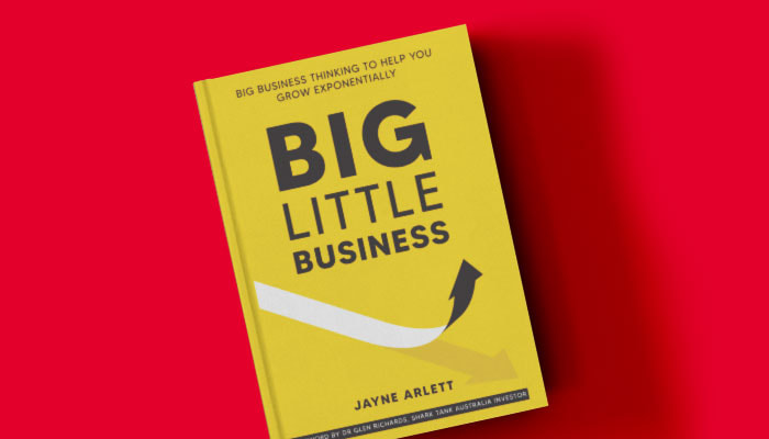 Big Little Business book review by Roxanne Grey partner Grey and Grey marketing agency Brisbane